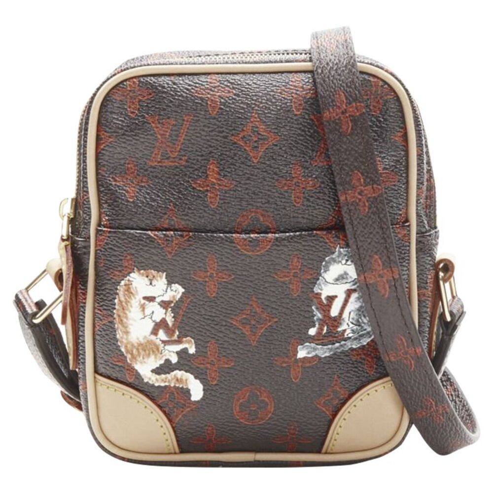 Louis Vuitton Monogram Camera Bag